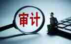 2023年审计个人工作总结优秀5篇
