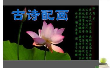 上诗经课心得体会7篇