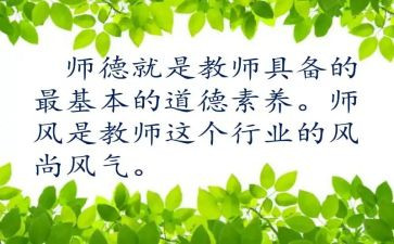 师德师风总结教师个人总结参考5篇