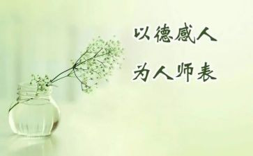 师德师风总结教师个人总结模板8篇