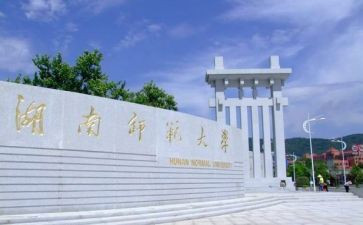 师范生个人总结2023推荐6篇