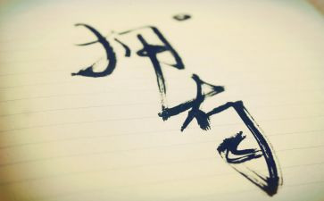 《失去的一天》读后感7篇