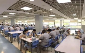 食堂工作个人总结范文6篇
