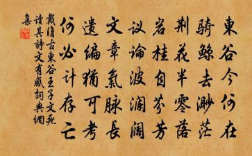 古诗文的读后感6篇