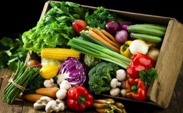 食物袋大班教案7篇