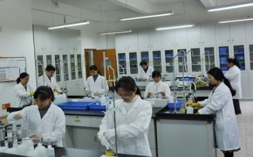 实验类的作文最新7篇