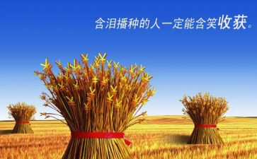 2024年我收获演讲稿5篇