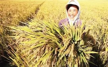 收获友谊的作文精选7篇