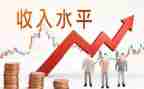 收入情况的调查报告5篇