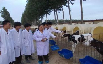兽医师述职报告优秀8篇