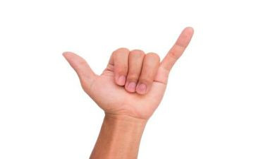 手指操教案模板5篇