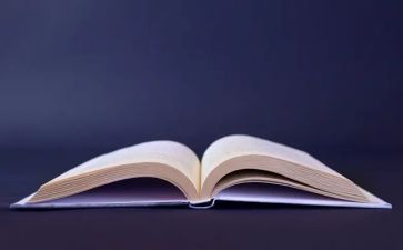 学校图书管理工作总结模板7篇