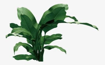学校植树月活动总结7篇