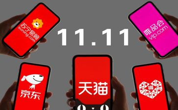 服装双11总结报告5篇