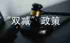 双减工作活动总结8篇