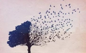 教师个人思想年度总结通用7篇