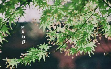 2024小班四月工作计划7篇