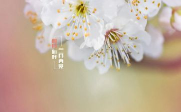 四月活动方案8篇