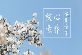 教师的素养的心得体会精选5篇