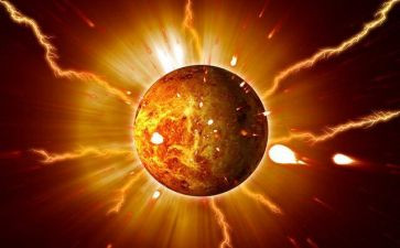 太阳和鱼读后感6篇