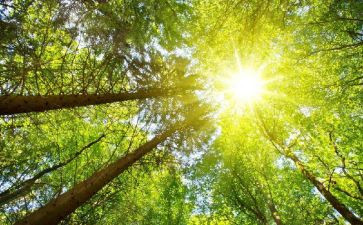 读太阳读后感优秀8篇