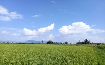 天气作文优秀8篇