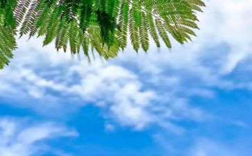 天气主题教案6篇