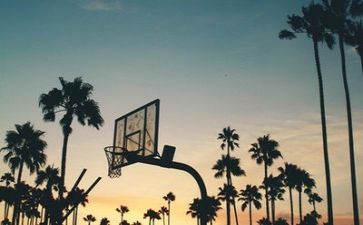 体育的心得体会最新8篇