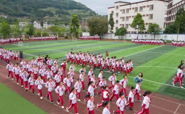 幼儿园体育活动教案反思6篇