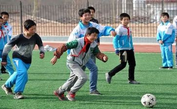 幼儿体育活动活动总结6篇