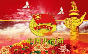 团干部年度个人总结8篇