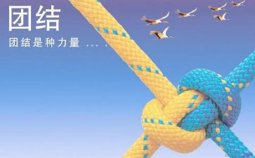 团结活动方案8篇