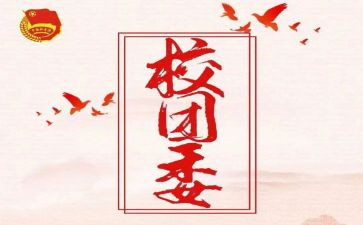 团委工作的个人总结通用5篇