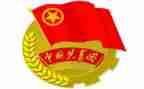 2024年团委工作总结报告7篇