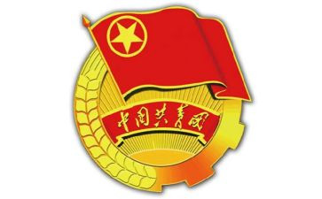 年度团支书总结个人总结8篇