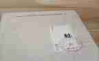 中班体育青蛙教案8篇