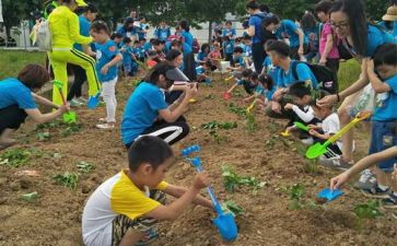 学生户外拓展活动方案参考7篇