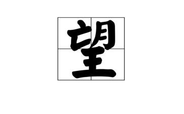 春望的读后感8篇