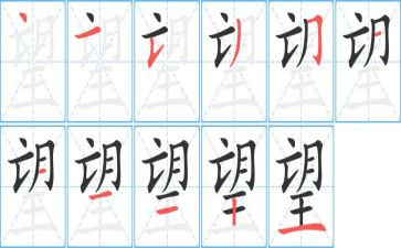 仰望的星作文推荐5篇