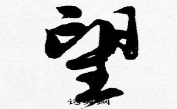 仰望大树作文800字8篇