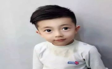 猫王子读后感6篇