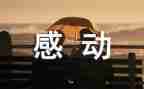 感动的事的作文模板7篇