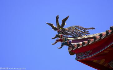 文化培训的心得体会6篇