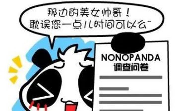 发问卷时的个人总结8篇