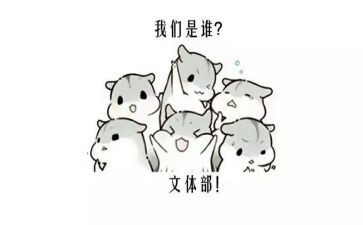 文体活动方案策划5篇
