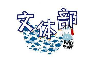 局开展文体活动总结7篇