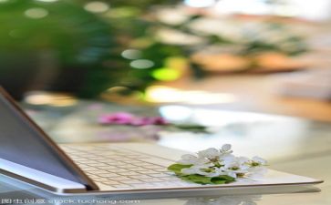 文员上半年总结最新7篇