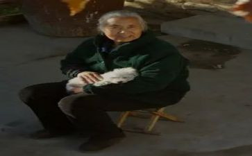 我的奶奶500字作文8篇