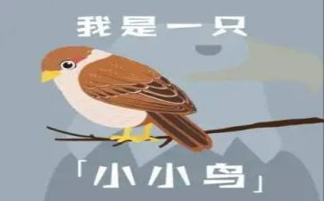 我是一只小小鸟作文优秀7篇