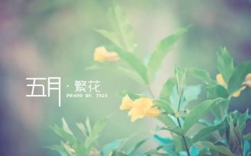 小班五月总结班五月总结5篇